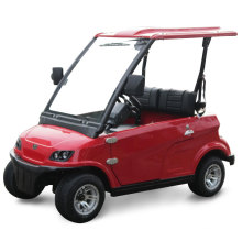 Ce Approved 2 Seater Low-Speed Electric Car (DG-LSV2)